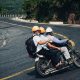 陈晓彤——毛色网首席兽医顾问，执业兽医师，擅长皮肤科与毛发健康领域